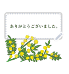 花の額縁（個別スタンプ：14）