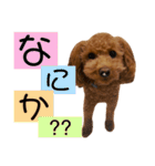 まかなさんスタンプ（個別スタンプ：13）