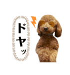 まかなさんスタンプ（個別スタンプ：22）