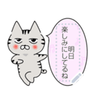 とらねこのじゃむ メッセージスタンプ（個別スタンプ：20）