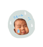 あおくんの日常スタンプ☆①（個別スタンプ：29）