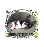 ふんふんのスタンプ Part 3 ♡（個別スタンプ：6）