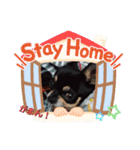 ふんふんのスタンプ Part 3 ♡（個別スタンプ：8）