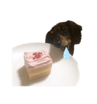 ヒナ(犬)（個別スタンプ：6）