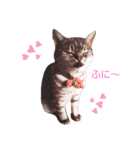 cocoa2020（個別スタンプ：2）