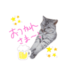 cocoa2020（個別スタンプ：6）