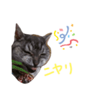 cocoa2020（個別スタンプ：10）