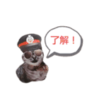 cocoa2020（個別スタンプ：14）