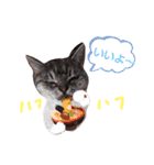 cocoa2020（個別スタンプ：16）
