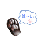 cocoa2020（個別スタンプ：18）