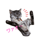 cocoa2020（個別スタンプ：21）
