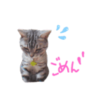 cocoa2020（個別スタンプ：23）