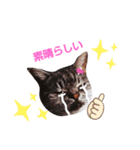 cocoa2020（個別スタンプ：26）
