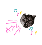 cocoa2020（個別スタンプ：27）