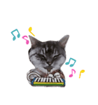 cocoa2020（個別スタンプ：32）