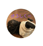 ぱんちゃんともっぷのスタンプ〜Vol.2〜（個別スタンプ：6）