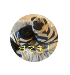 ぱんちゃんともっぷのスタンプ〜Vol.2〜（個別スタンプ：24）