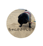 ぱんちゃんともっぷのスタンプ〜Vol.2〜（個別スタンプ：29）