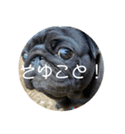 ぱんちゃんともっぷのスタンプ〜Vol.2〜（個別スタンプ：38）