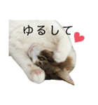 無邪気なルナ（個別スタンプ：9）