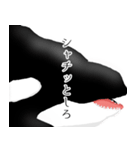 モノクロの誇り（個別スタンプ：5）