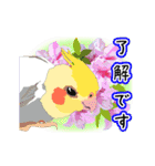 動く！インコとお花とお仕事（個別スタンプ：3）