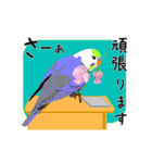 動く！インコとお花とお仕事（個別スタンプ：18）