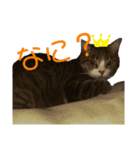 もかうめきのこ（個別スタンプ：5）