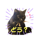 もかうめきのこ（個別スタンプ：7）