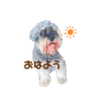 ジャッキースタンプ★（個別スタンプ：1）