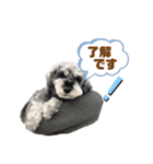 ジャッキースタンプ★（個別スタンプ：6）