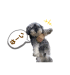 ジャッキースタンプ★（個別スタンプ：7）