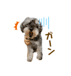 ジャッキースタンプ★（個別スタンプ：9）