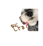 ジャッキースタンプ★（個別スタンプ：12）