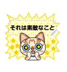 チャトラの猫の何度もメッセージスタンプ（個別スタンプ：11）