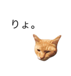 たなかの猫（個別スタンプ：4）