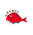 魚たちの日常（たい版）（個別スタンプ：7）