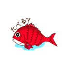 魚たちの日常（たい版）（個別スタンプ：12）