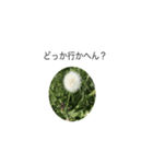出だしのひと言（個別スタンプ：3）