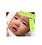 baby ゆち（個別スタンプ：12）