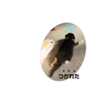 舞ちゃんスタンプ3（個別スタンプ：4）