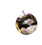 舞ちゃんスタンプ3（個別スタンプ：6）