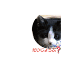 舞ちゃんスタンプ3（個別スタンプ：9）