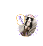 舞ちゃんスタンプ3（個別スタンプ：17）