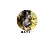 舞ちゃんスタンプ3（個別スタンプ：19）