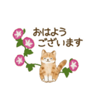 うごく☆猫たちのスタンプ(夏)（個別スタンプ：1）
