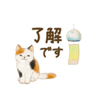 うごく☆猫たちのスタンプ(夏)（個別スタンプ：14）