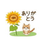 うごく☆猫たちのスタンプ(夏)（個別スタンプ：15）