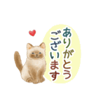 うごく☆猫たちのスタンプ(夏)（個別スタンプ：16）
