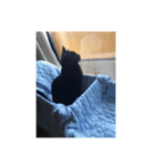 ジジシリーズ（個別スタンプ：10）